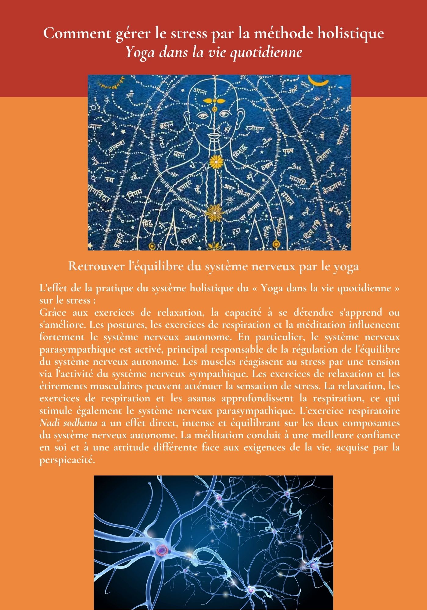 Atelier systeme nerveaux 4